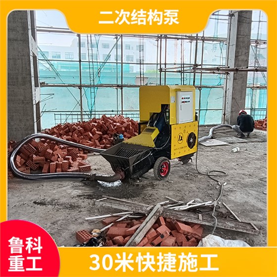 構(gòu)造柱輸送泵 構(gòu)造柱輸送泵