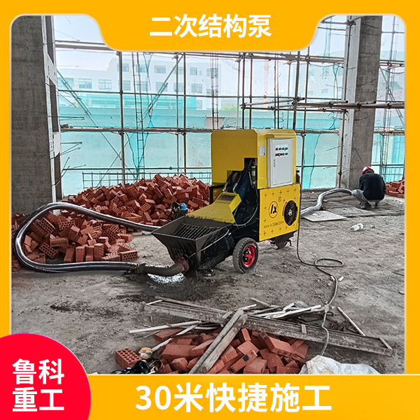 二次結(jié)構(gòu)柱輸送泵